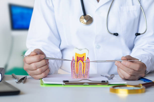 Best Emergency Dental Care for Abscessed Tooth in Adelphi, MD